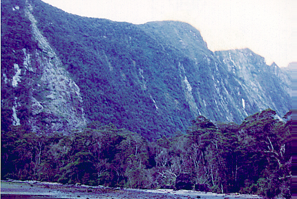 milford46